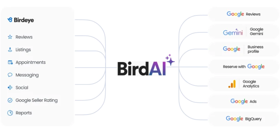 Birdeye AI graph